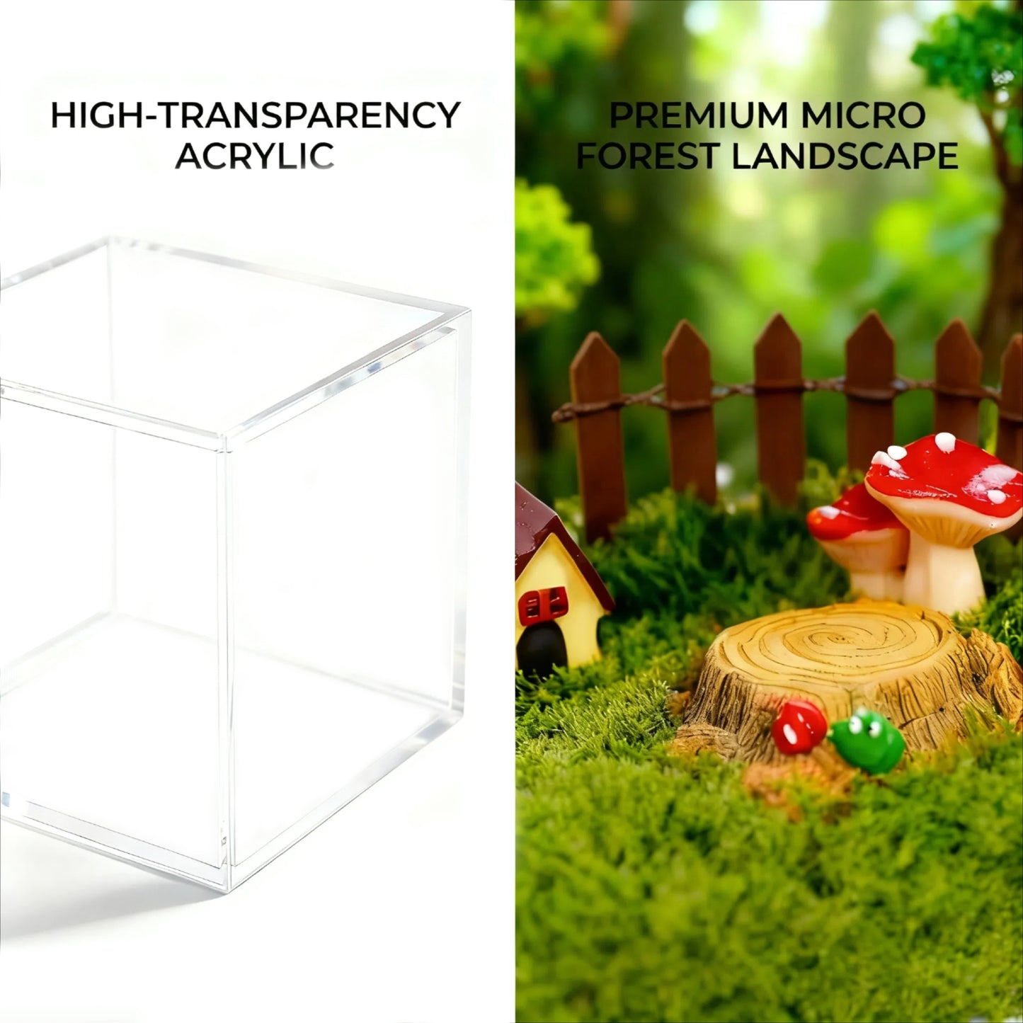 3D Holographic Pet Cube